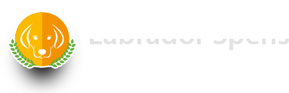 Labradorzwinger zur Arensburg